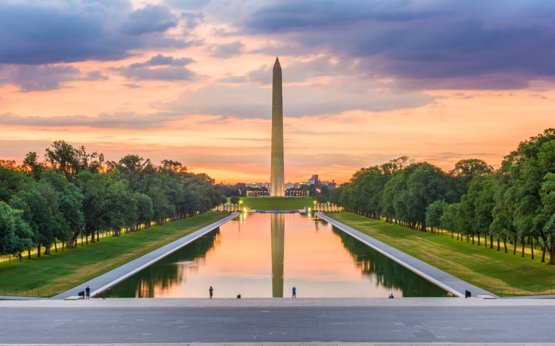 How do I start a business in Washington, D.C.?